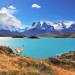 Neverland Patagonia