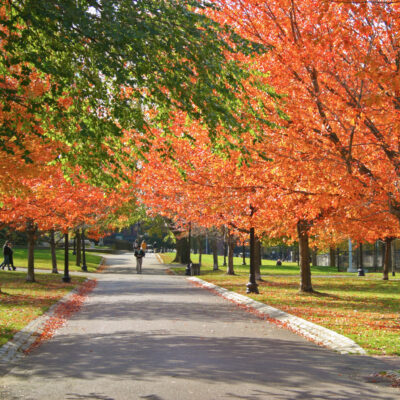 Fall foliage in Boston Public Garden.