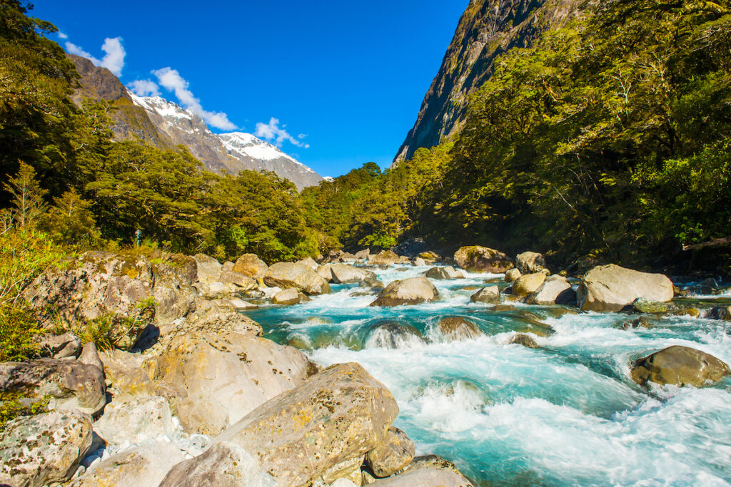 Fiordland National Park creek