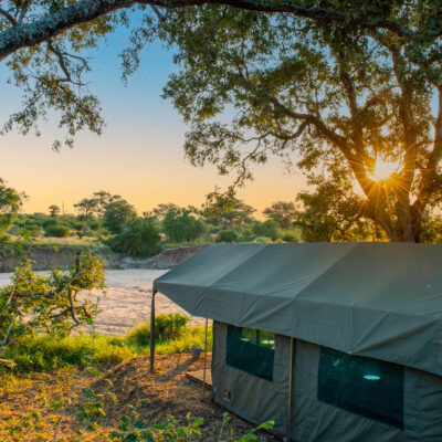 Kruger Untamed: Tshokwane River Camp