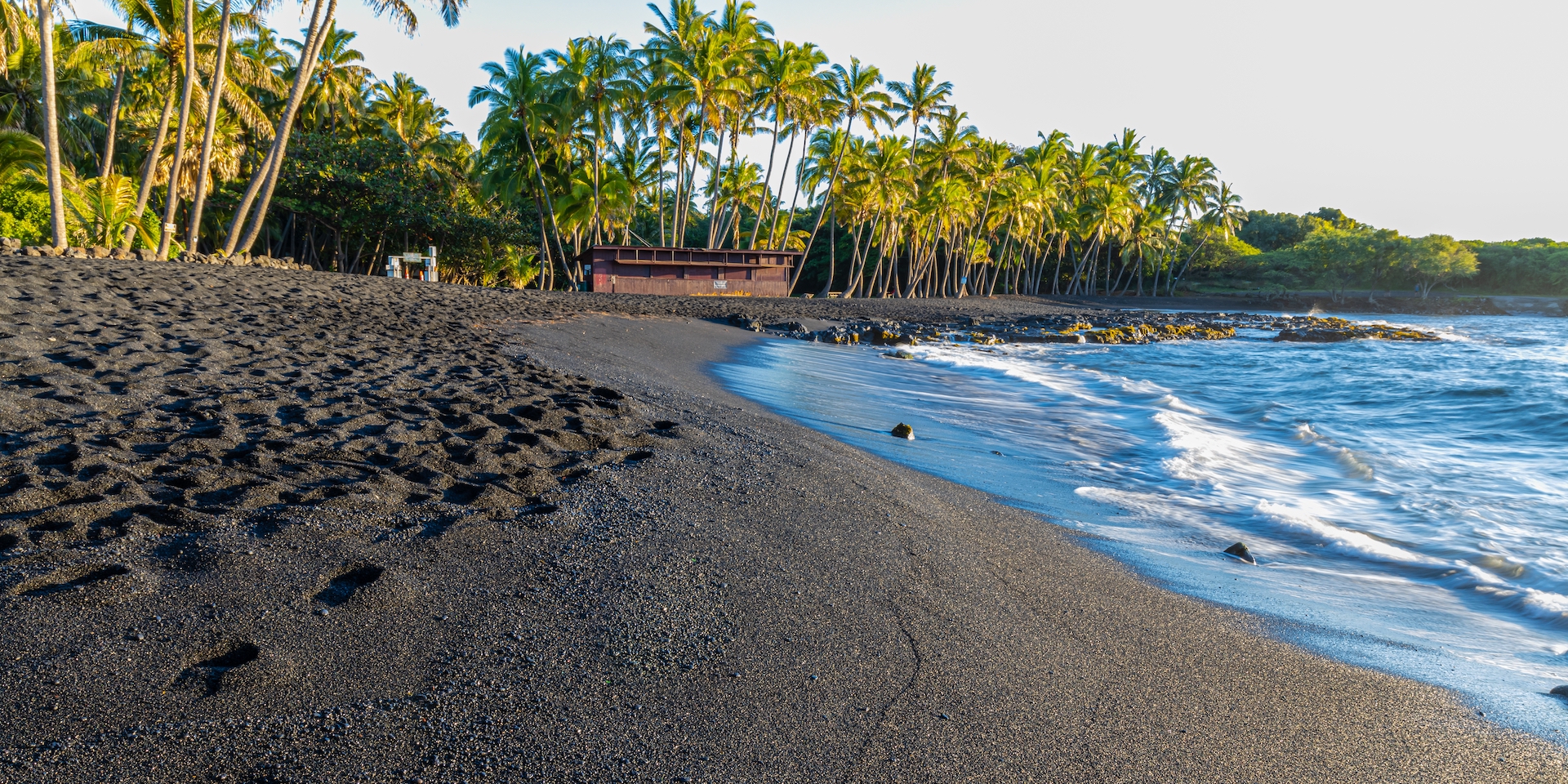 Coconut Palm Trees Along The Black Sand of Punalu'u Beach, Hawaii Island, Hawaii, USA